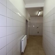 Lokal na wynajem