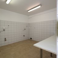 Lokal na wynajem